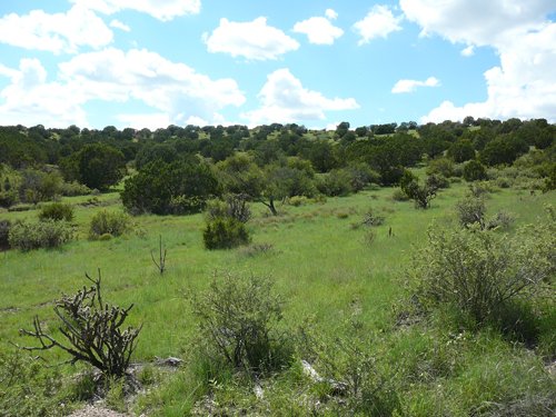 Property photo 2 - 7,320 Acres Offered in 5 Tracts